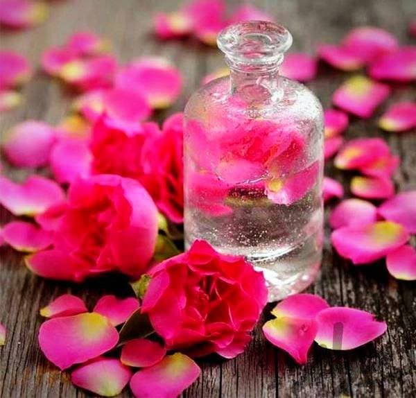 گلاب سانارای کاشان