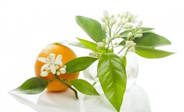 عرق بهارنارنج سان آرا